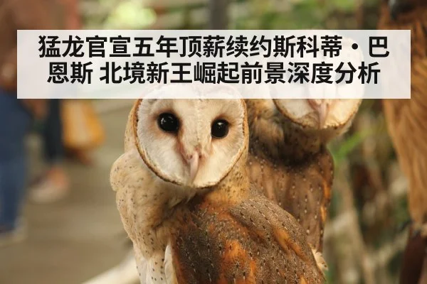 猛龙官宣五年顶薪续约斯科蒂·巴恩斯 北境新王崛起前景深度分析